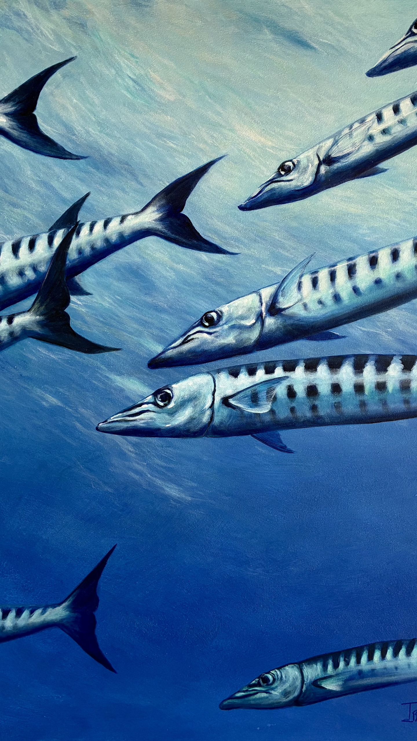 Barracudas del Pacifico