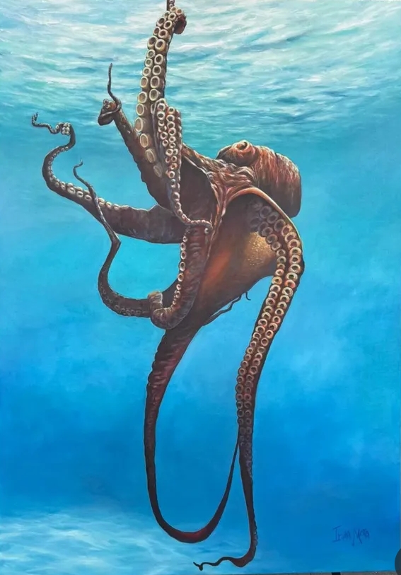 Pulpo 1