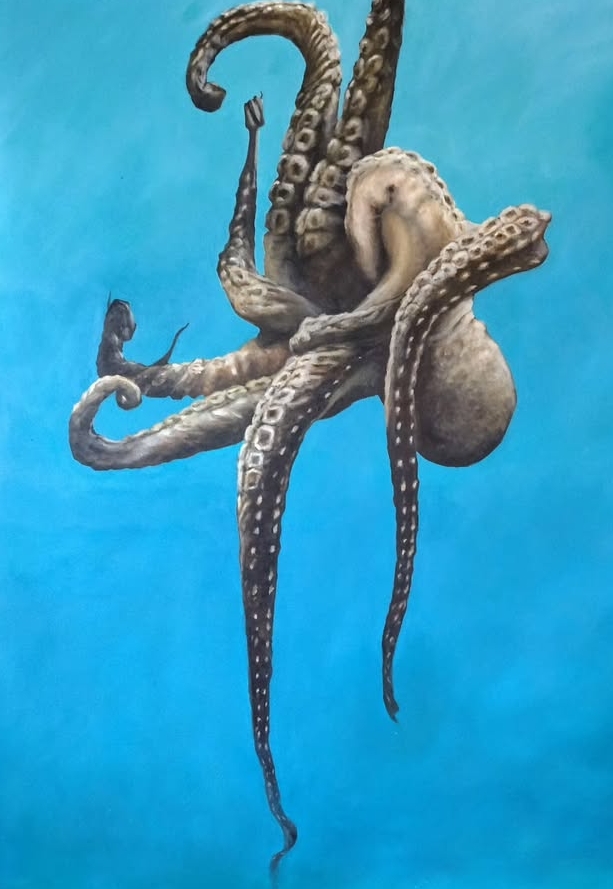 Pulpo 2